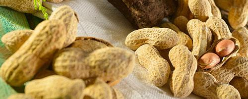 25% increase in peanut consumption